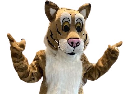 bobcat 