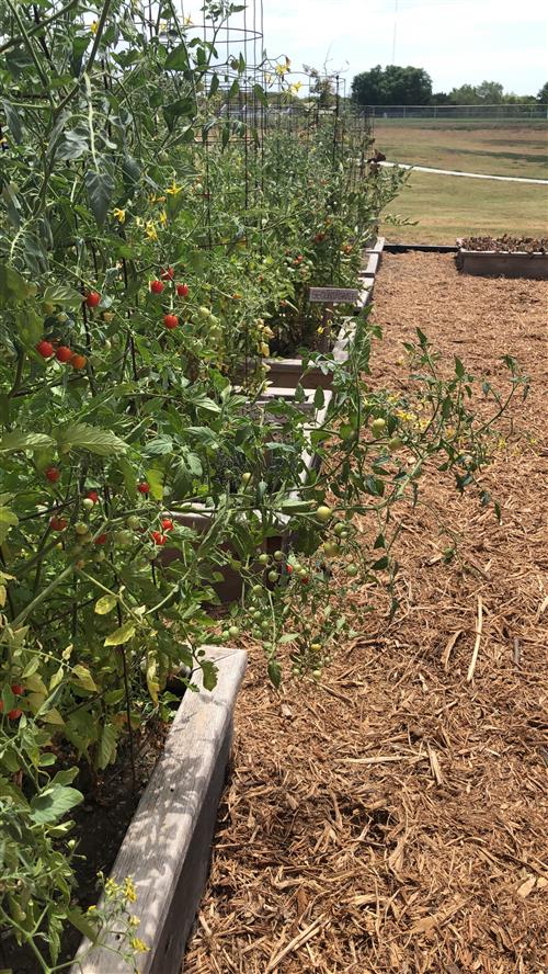 SH Garden 