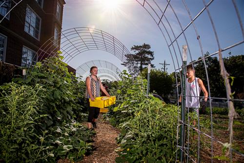 LMCMS Garden 