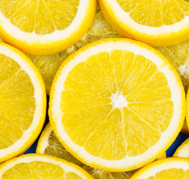 The Lemonade War The Lemonade War